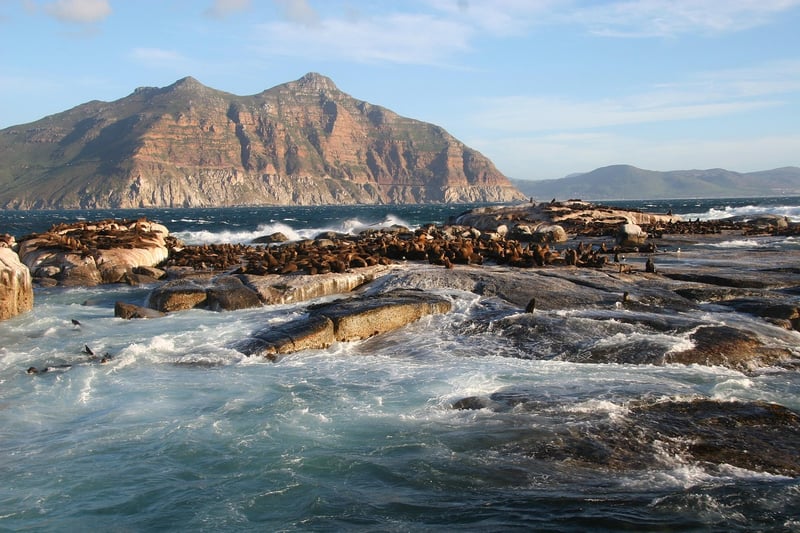 Cape Town waterfront